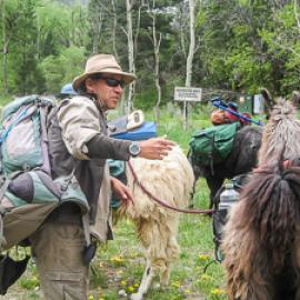 Lleva una Llama a Almorzar